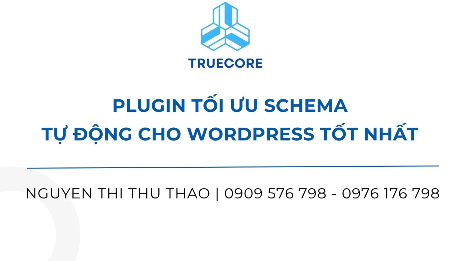 plugin tối ưu schema tự động cho wordpress