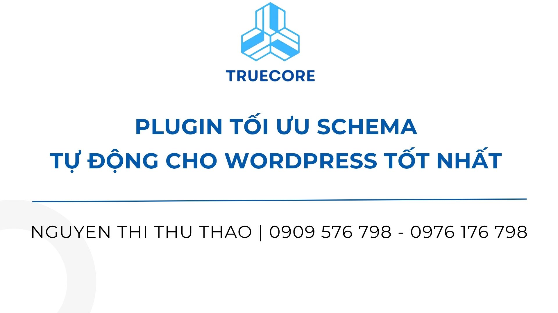 plugin tối ưu schema tự động cho wordpress