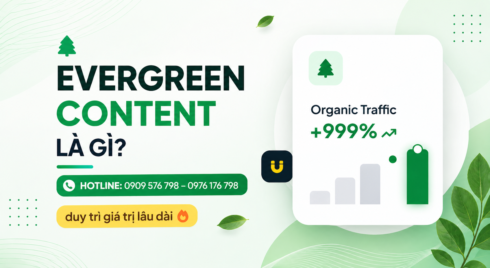 evergreen content là gì
