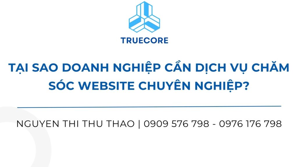 tại sao doanh nghiệp cần dịch vụ chăm sóc website chuyên nghiệp