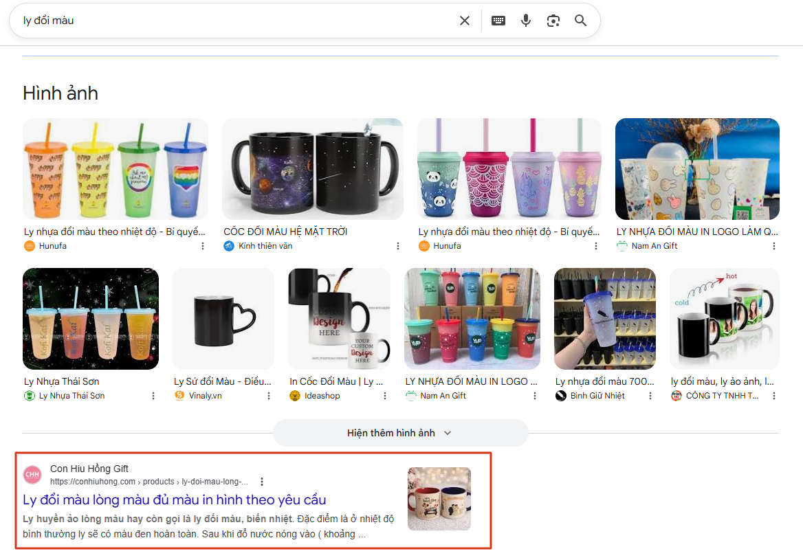 Web Stories là gì? Hướng dẫn cài đặt và tối ưu SEO từ A-Z web stories là gì