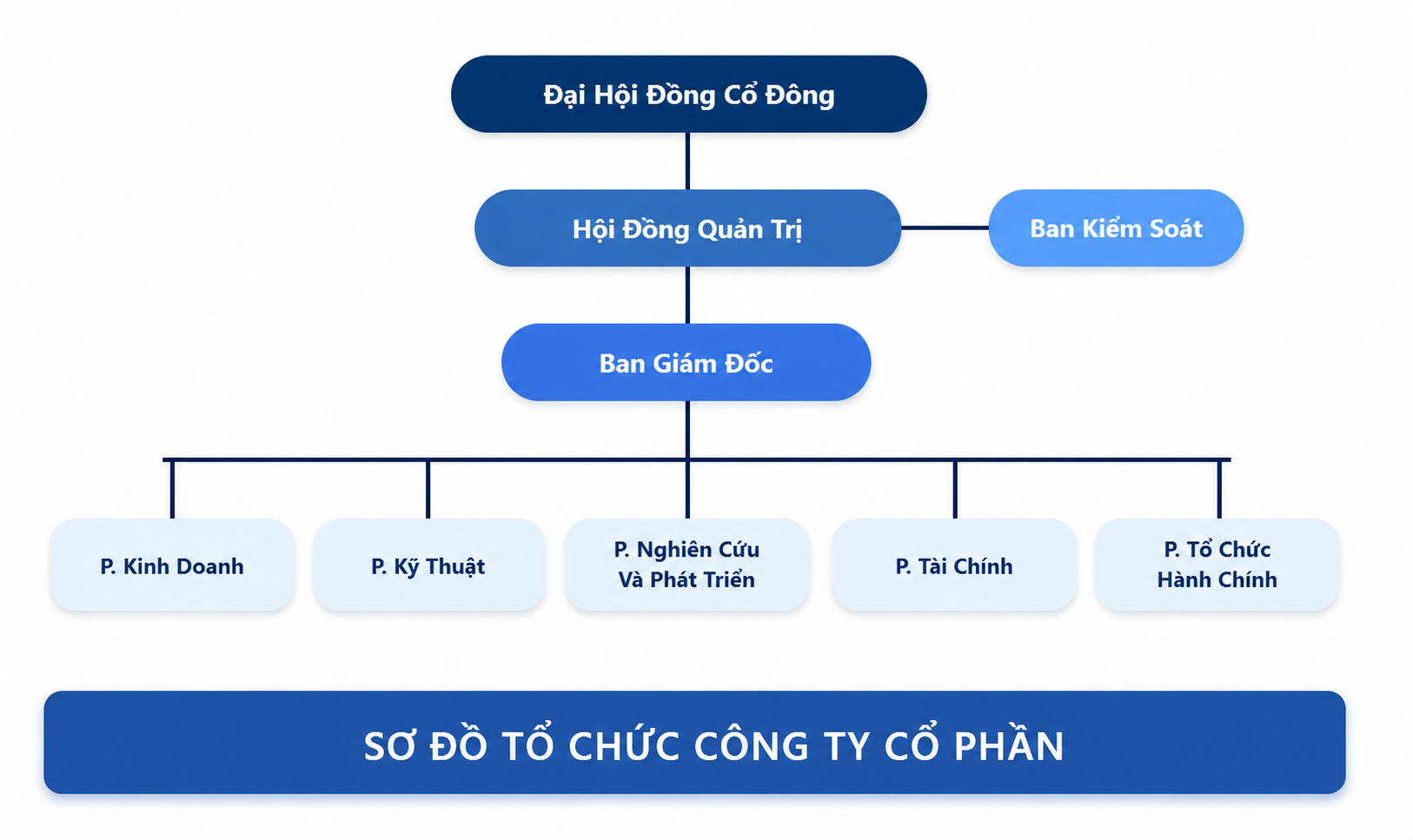 cơ cấu tổ chức quản lý của công ty cổ phần (có ban kiểm soát)